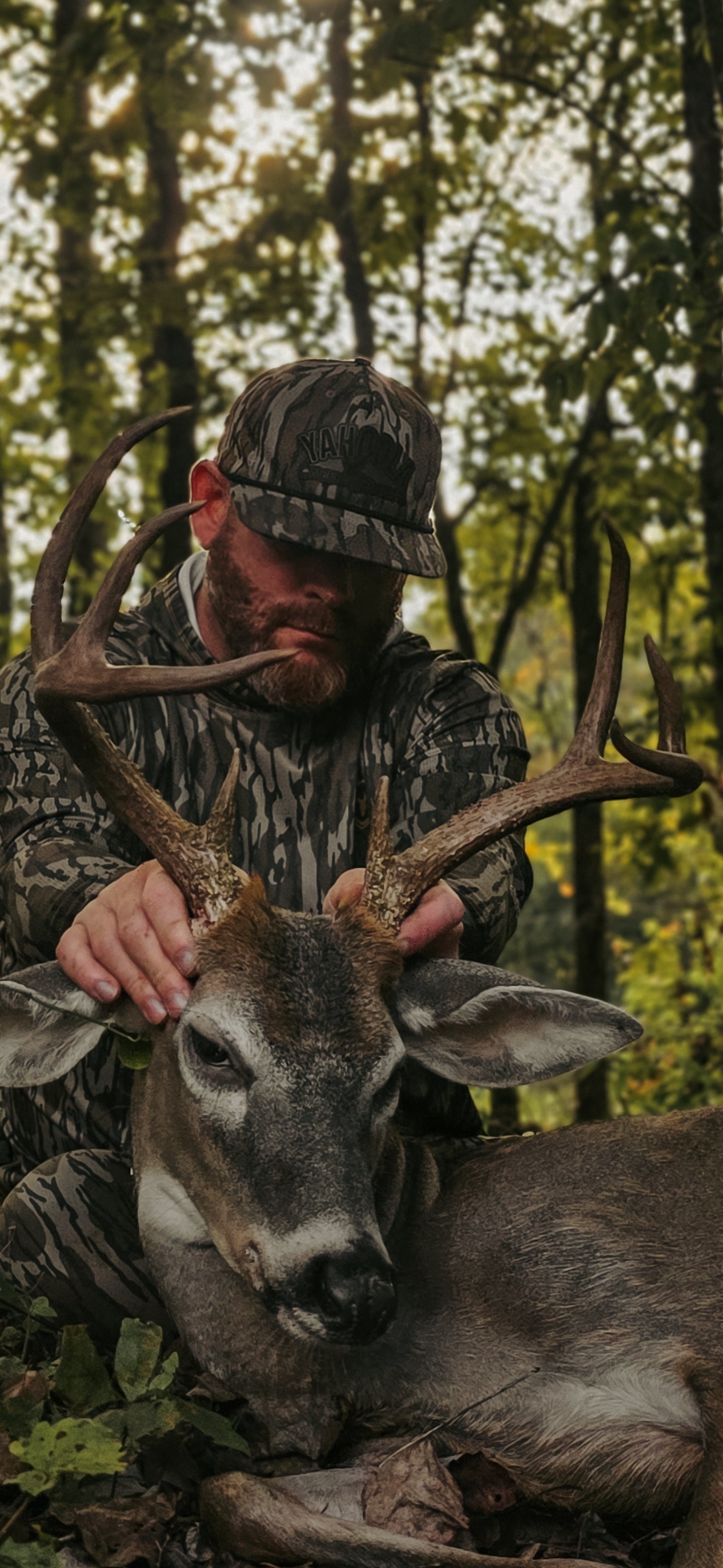 Lizard Juice Synthetic (mock scrape)