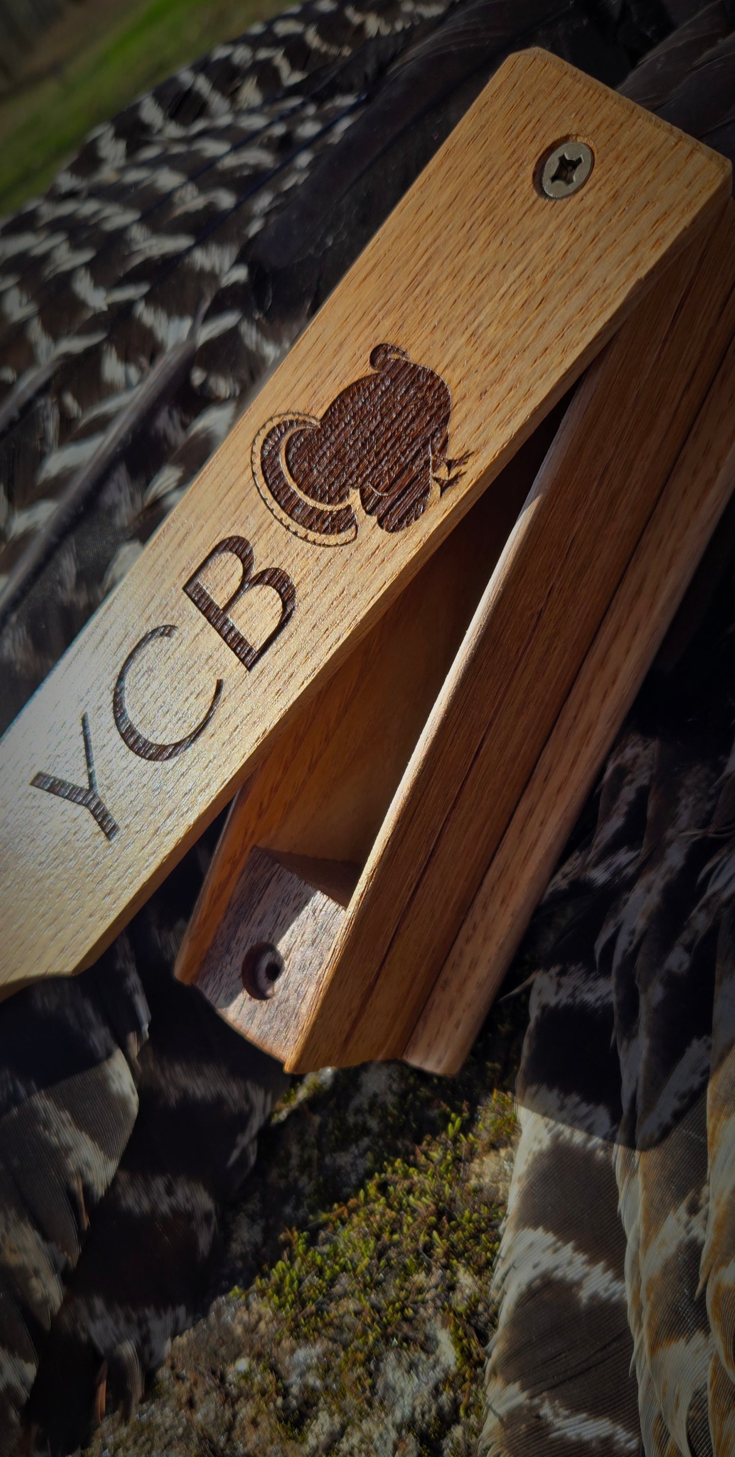 Chestnut Box Call