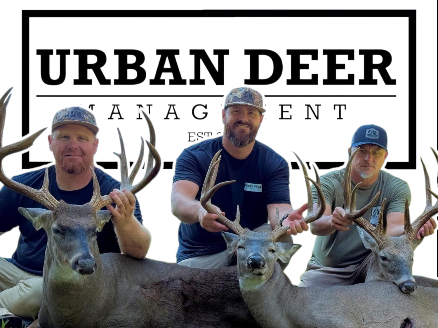 Urban Deer Managment