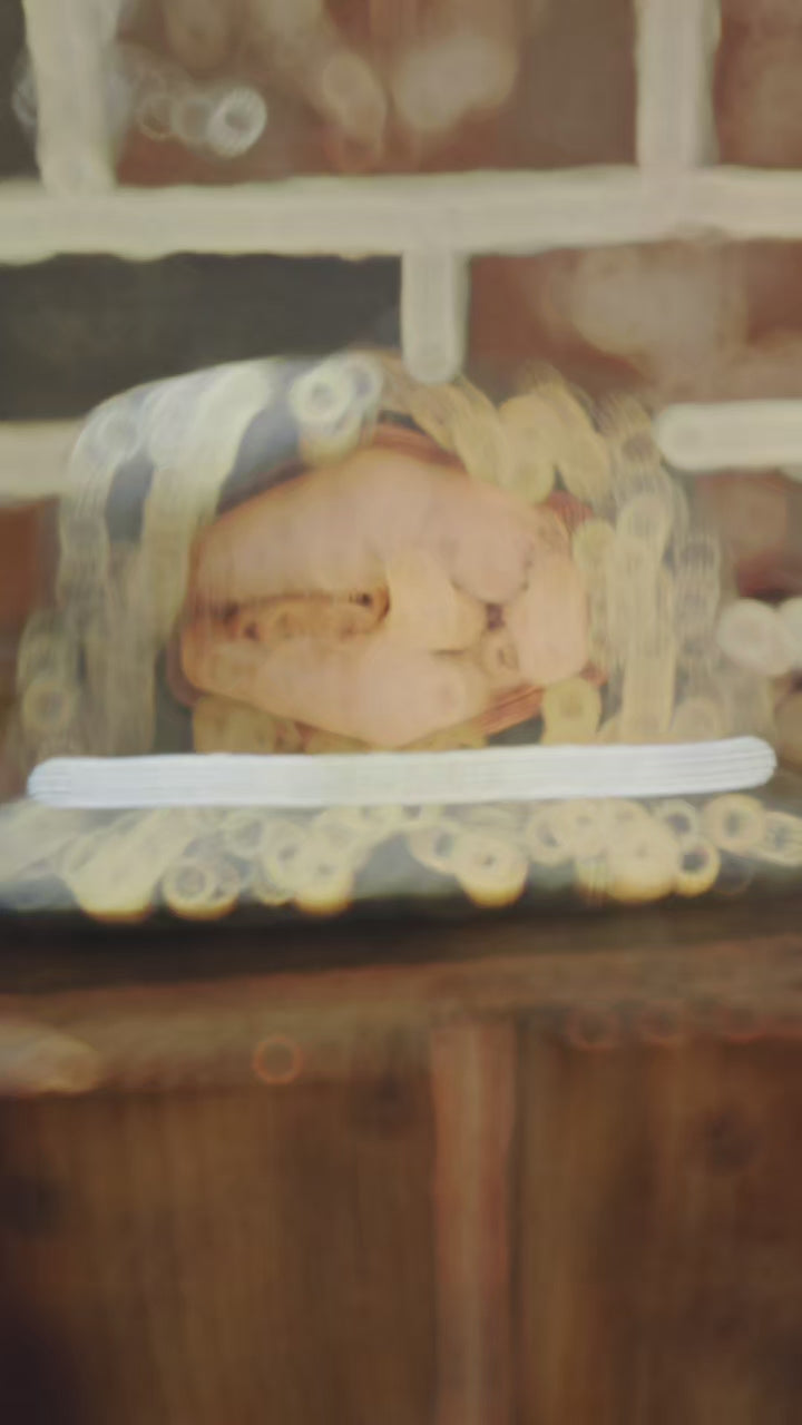 Old-school Swamp cypress