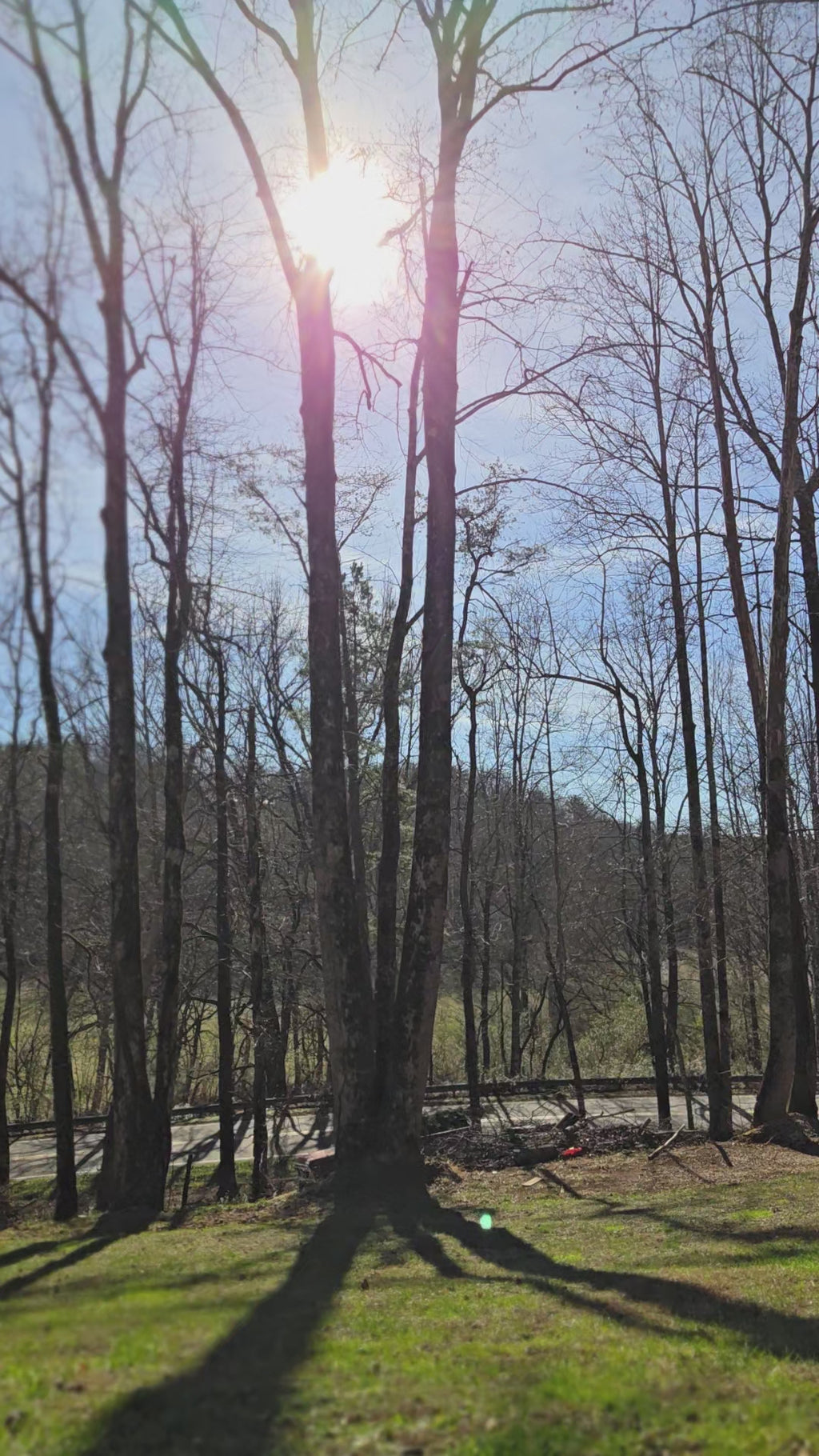 Flamed Osage Orange Double-sided Pot