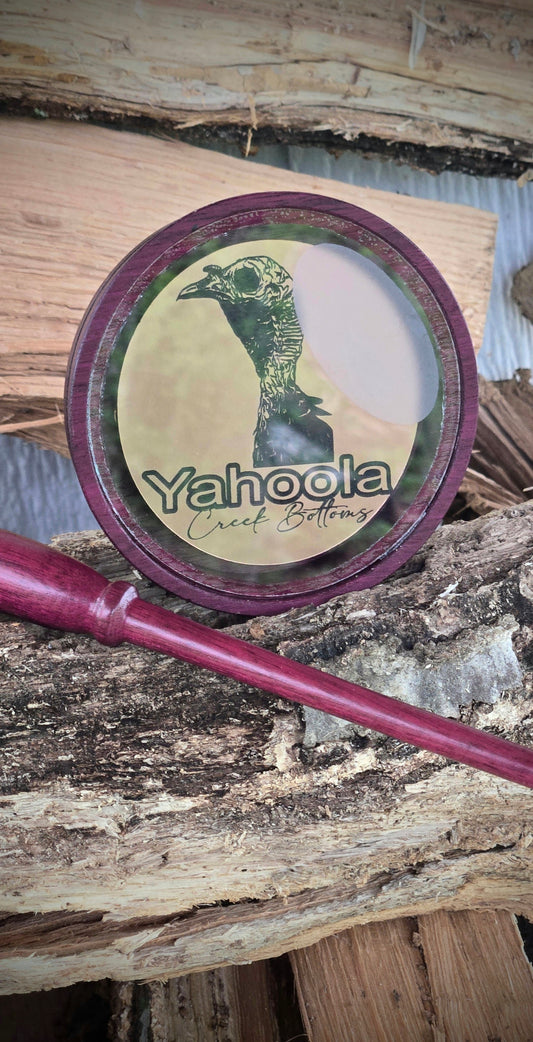 Golden Clucker purple heart pot