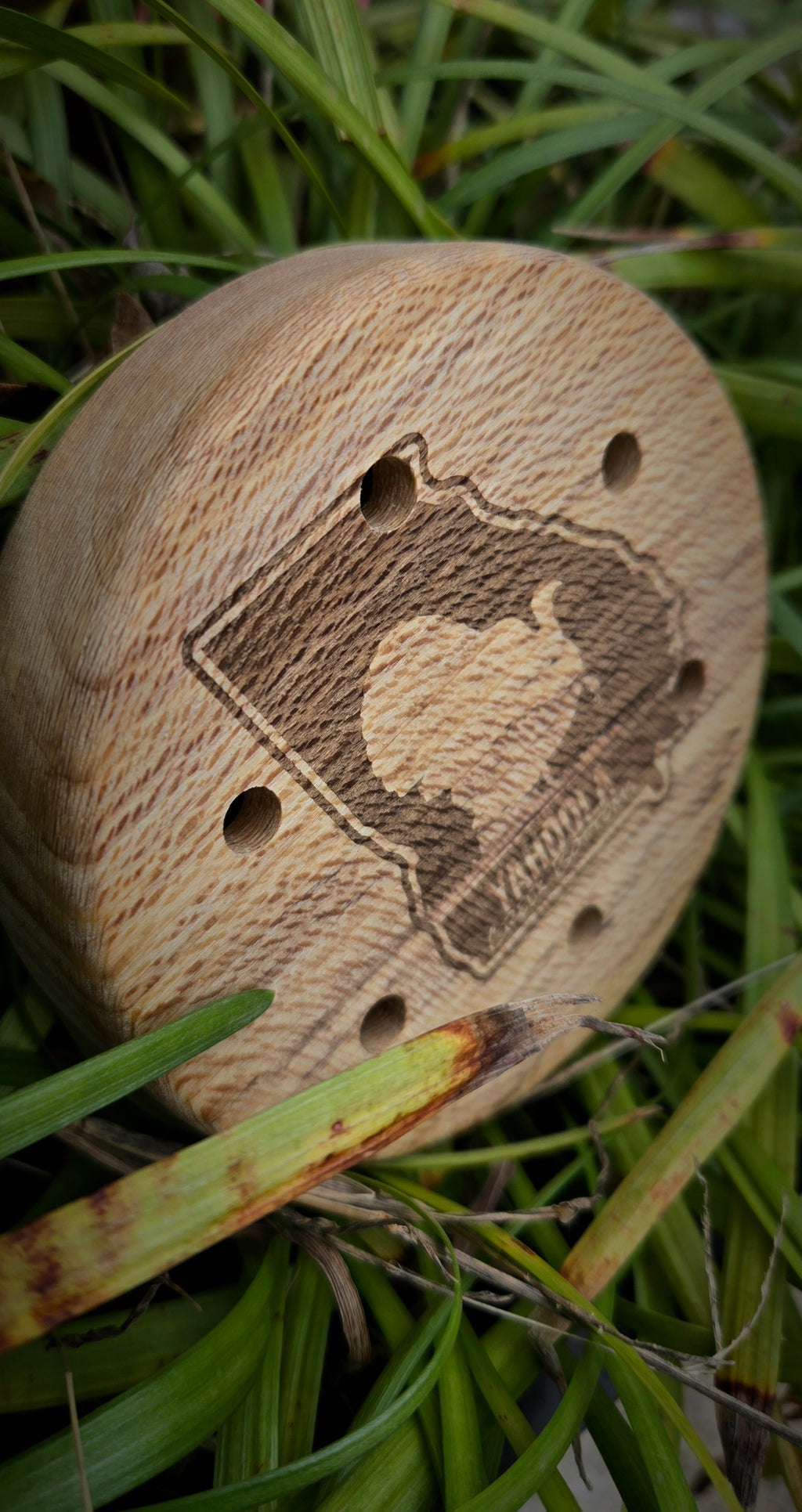 3.5" Sycamore pot