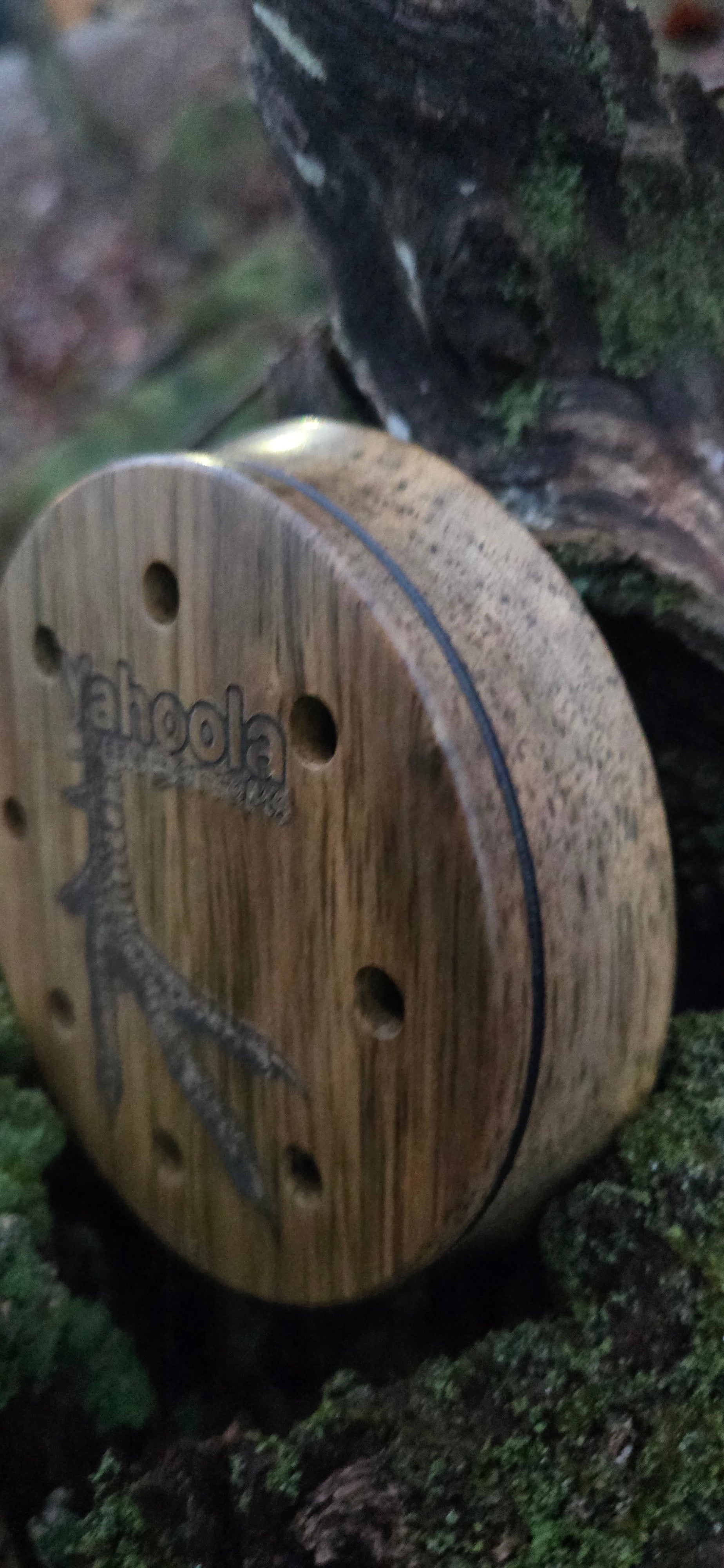 3.5" pot Black limba