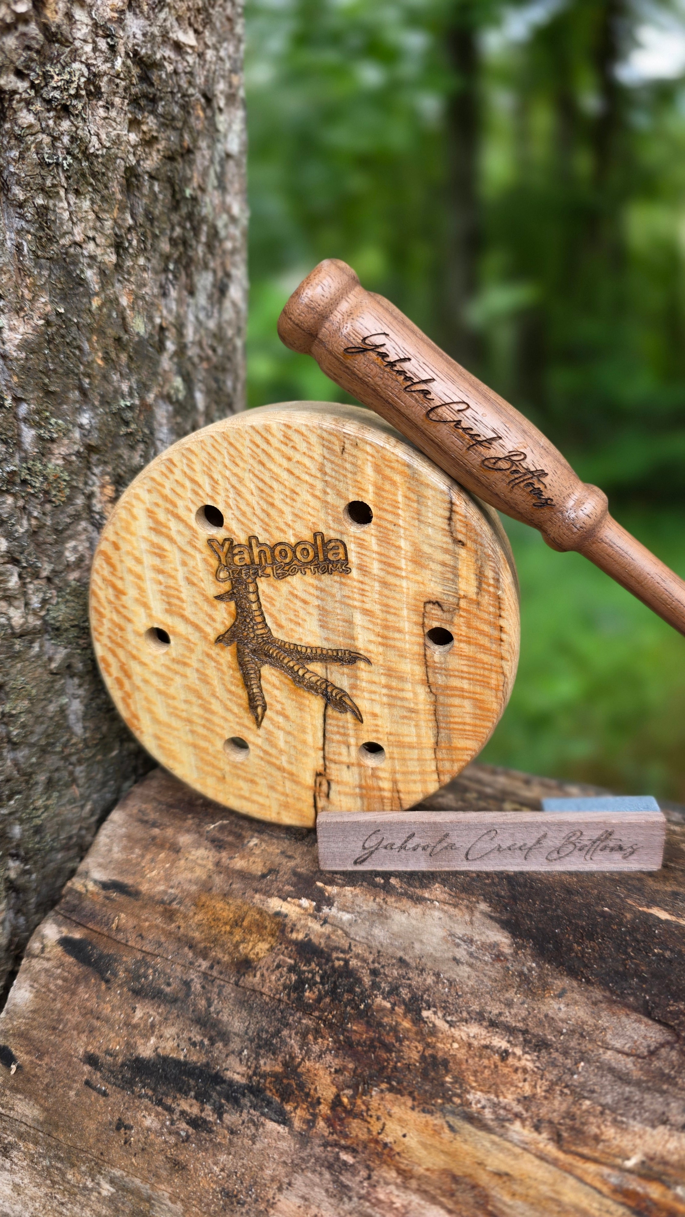 3.5" Spalted Sycamore