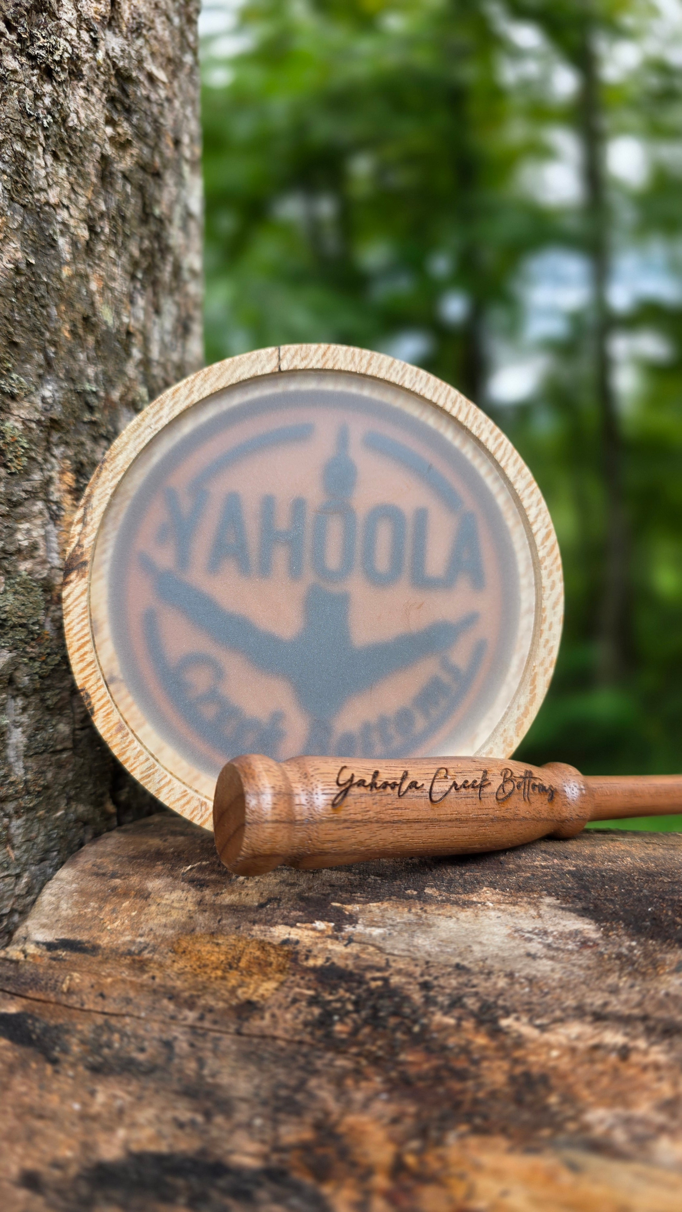 3.5" Spalted Sycamore