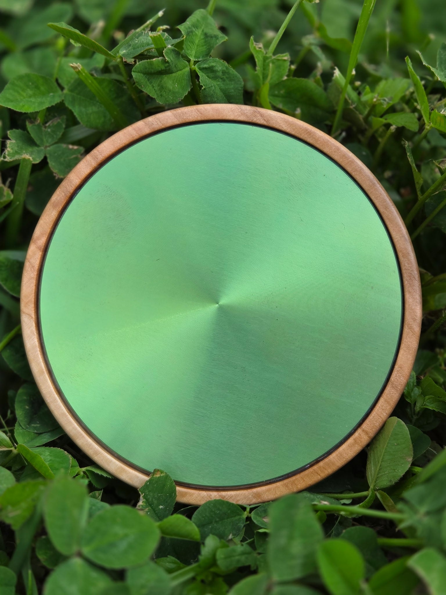 The Granny Smith Titanium Applewood Pot