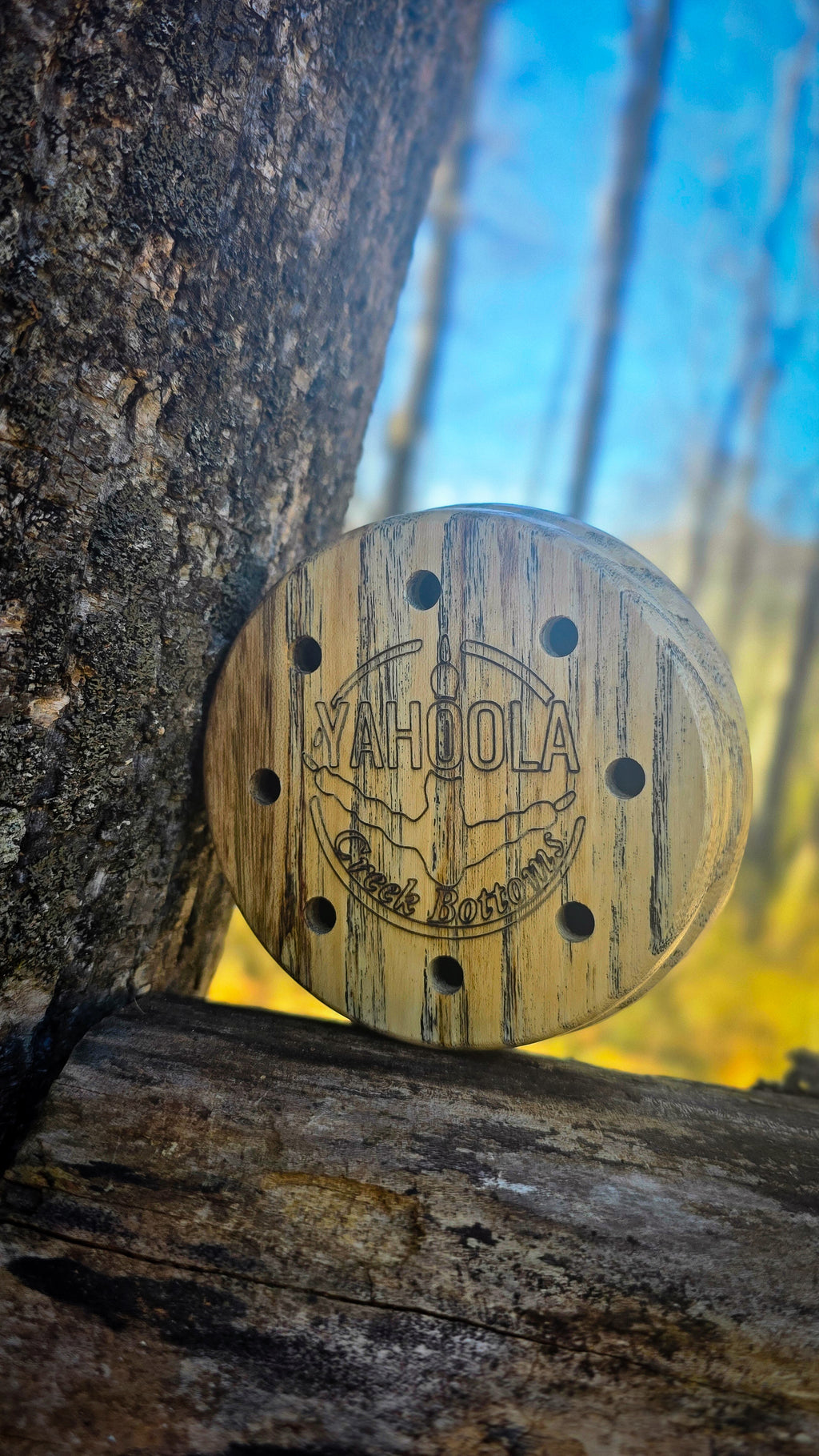 (2026) Sugar Mama Spalted Hackberry