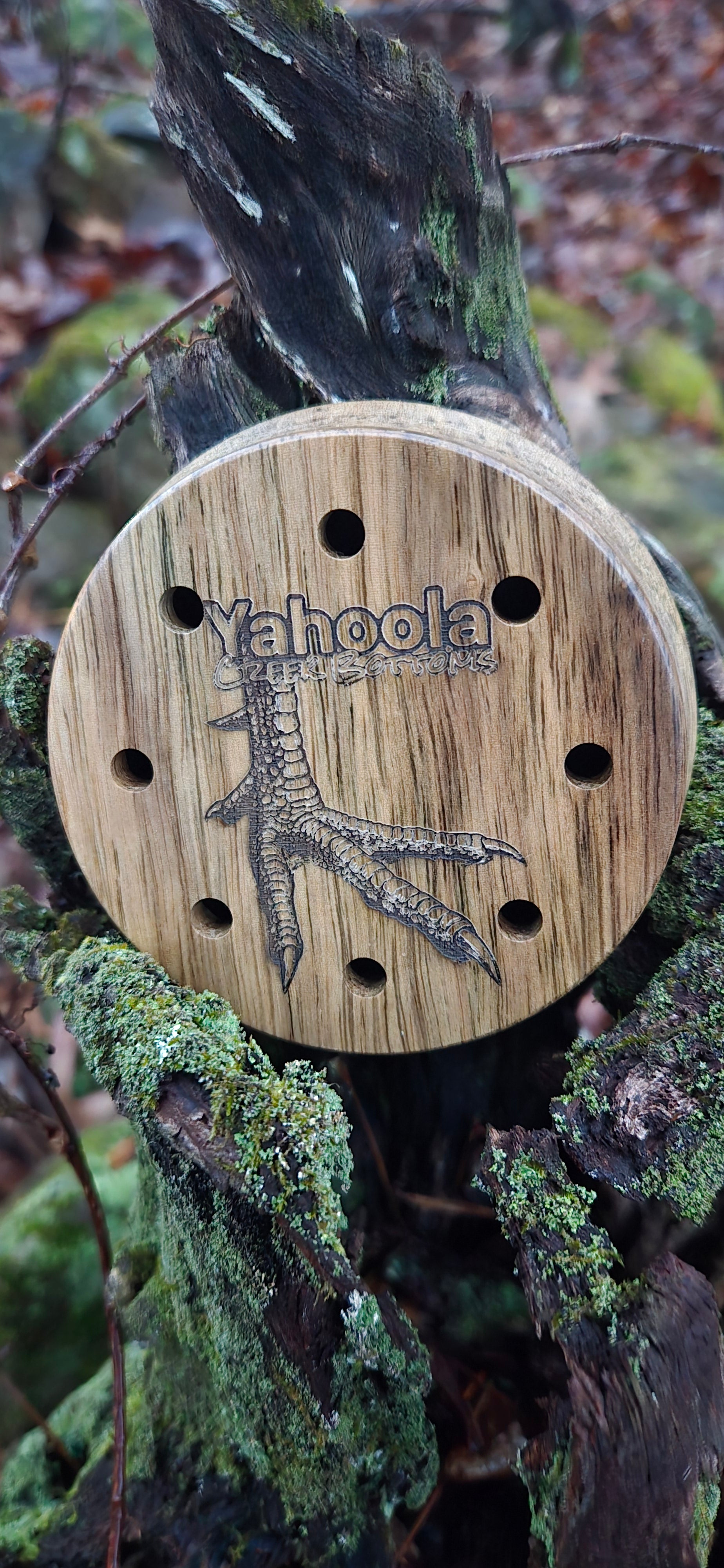 3.5" pot Black limba