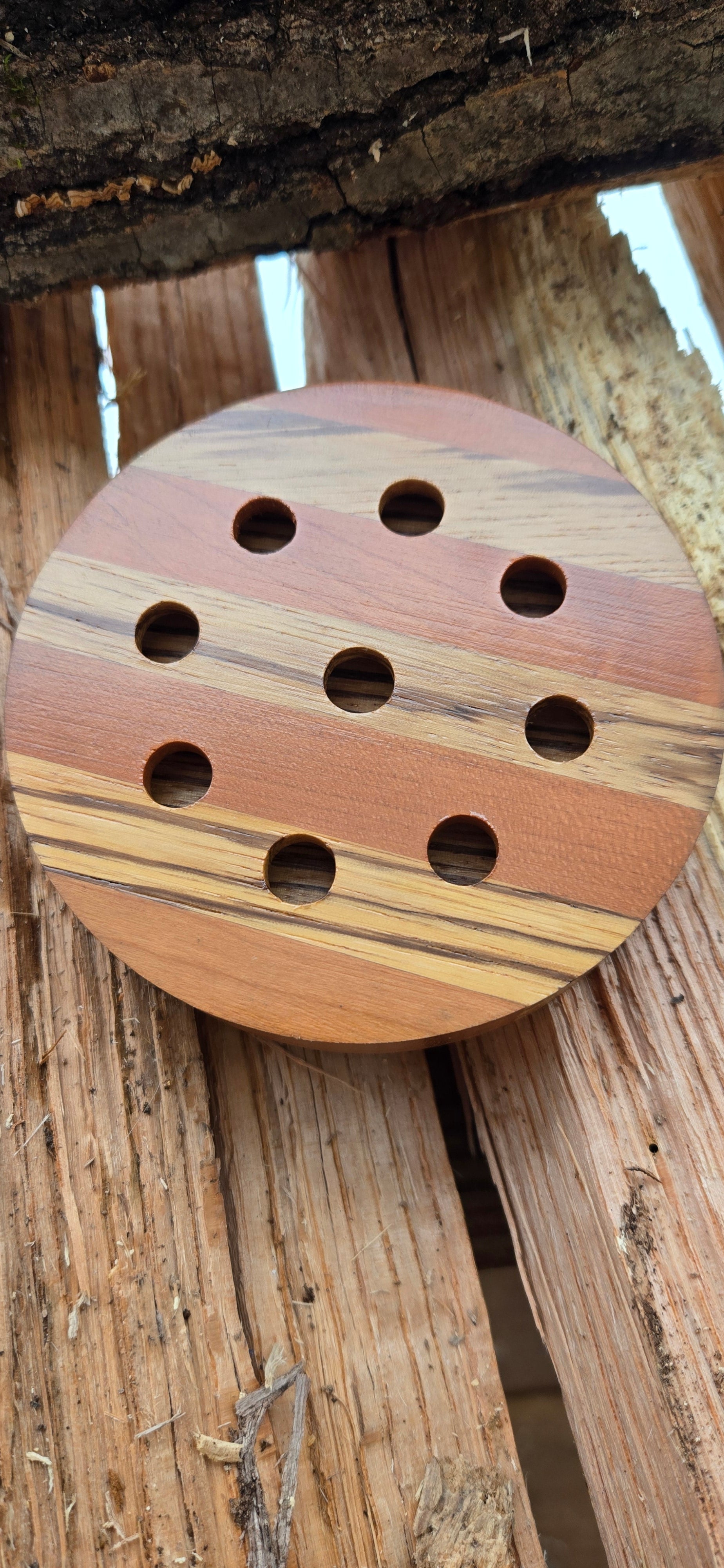 3.5" Laminate Zebrawood pot