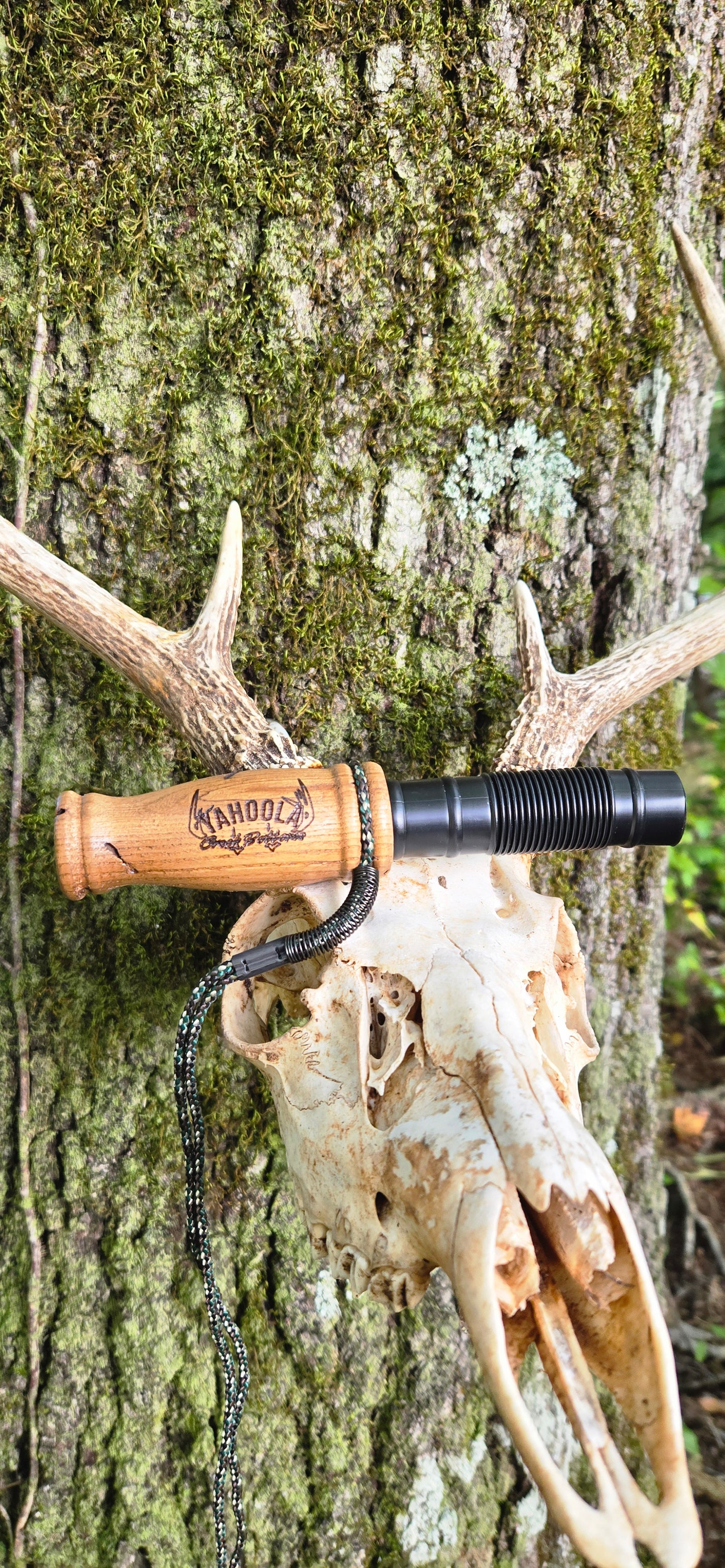 Big Barrel Deer Grunt