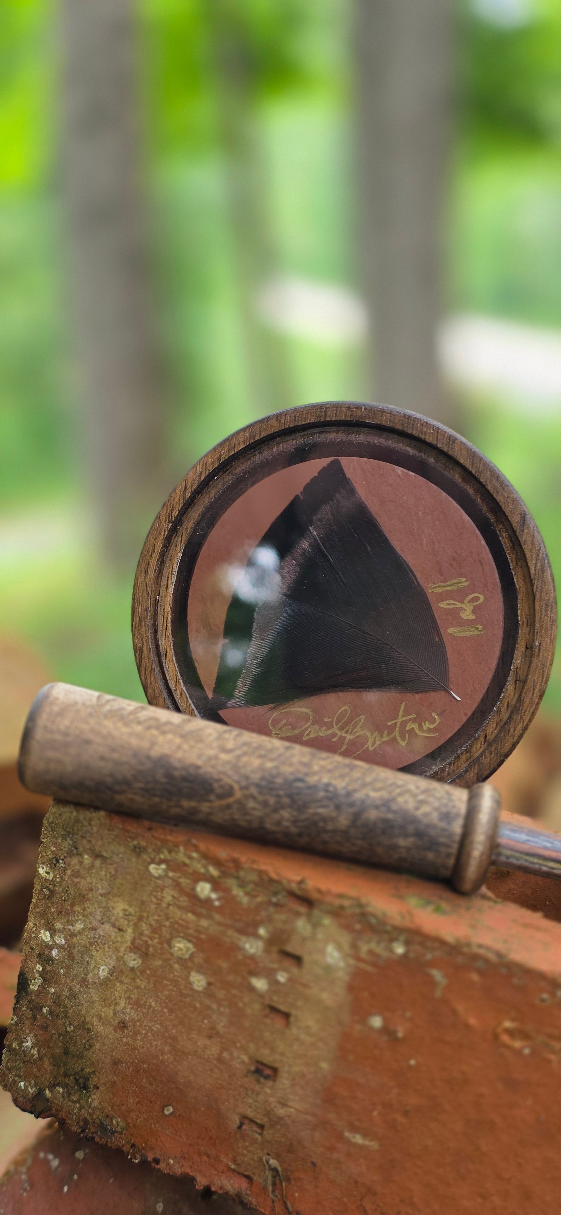 3" Dark Walnut Crystal over Red slate