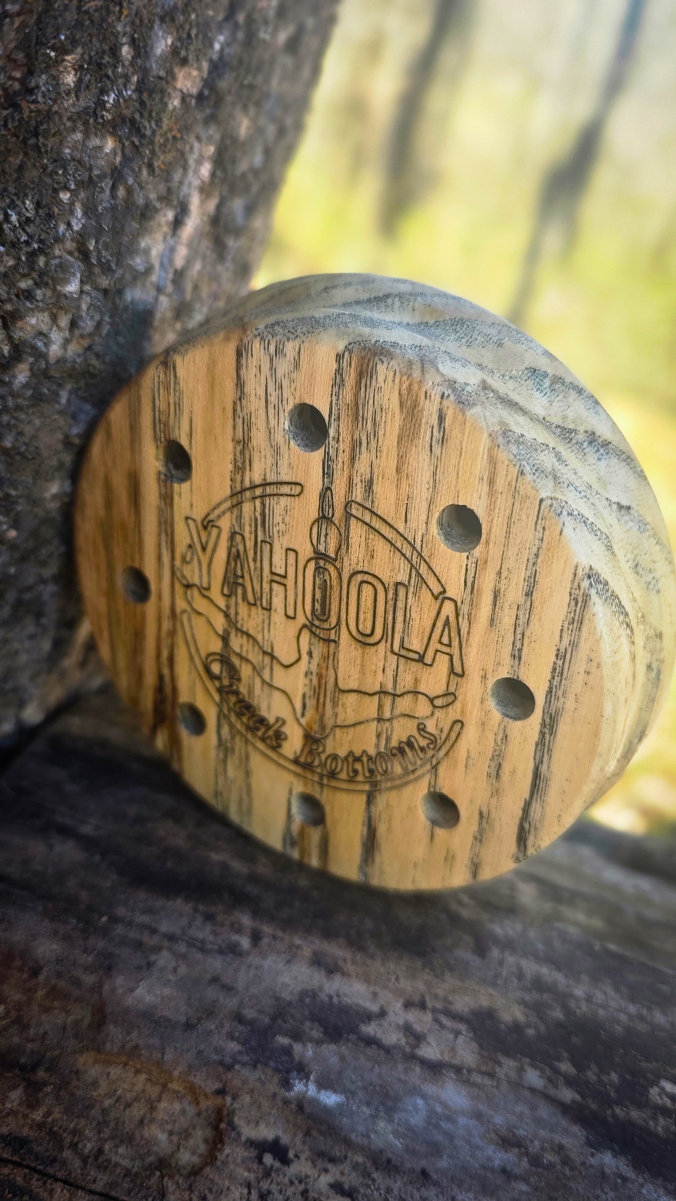 (2026) Sugar Mama Spalted Hackberry