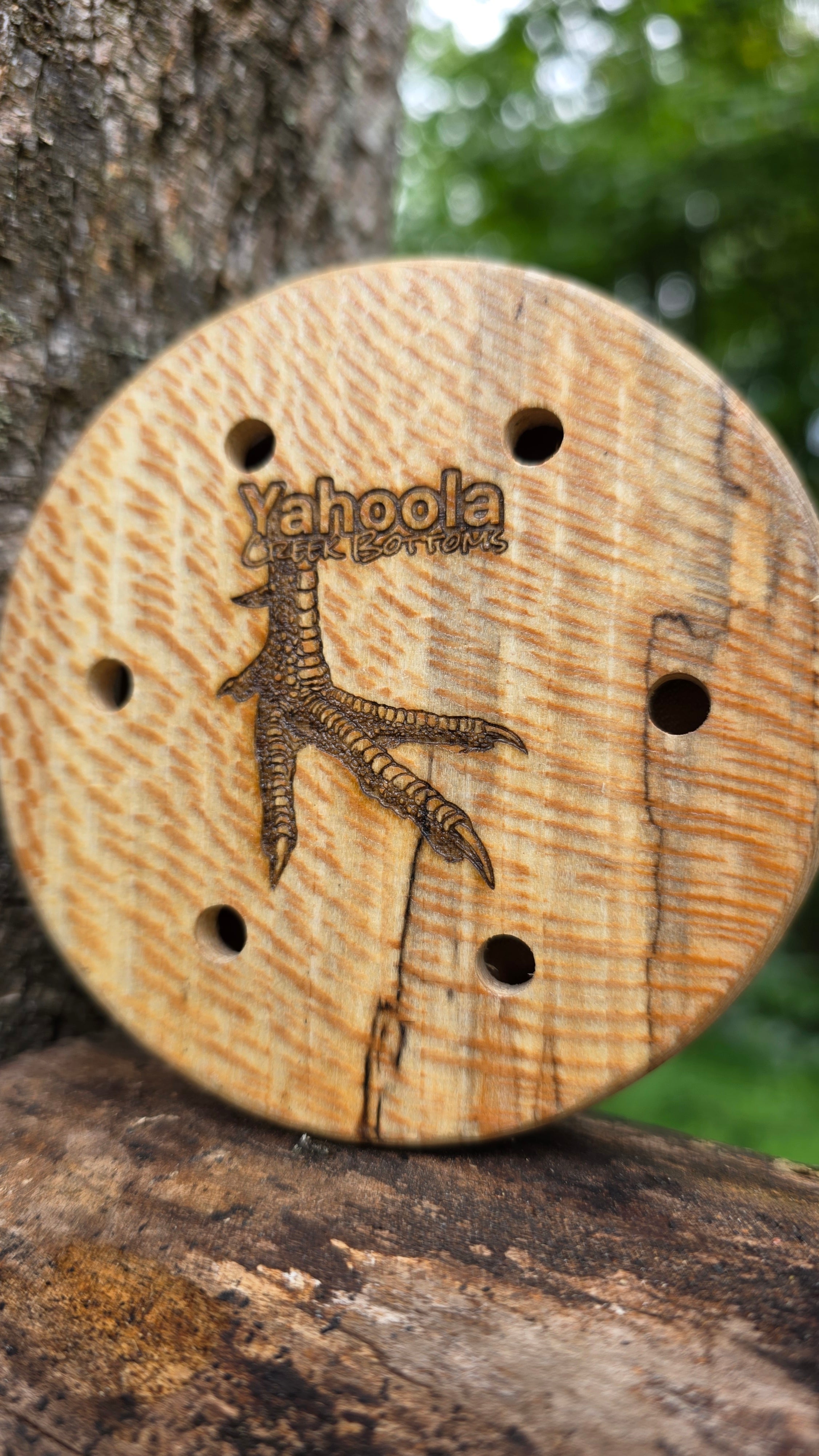 3.5" Spalted Sycamore