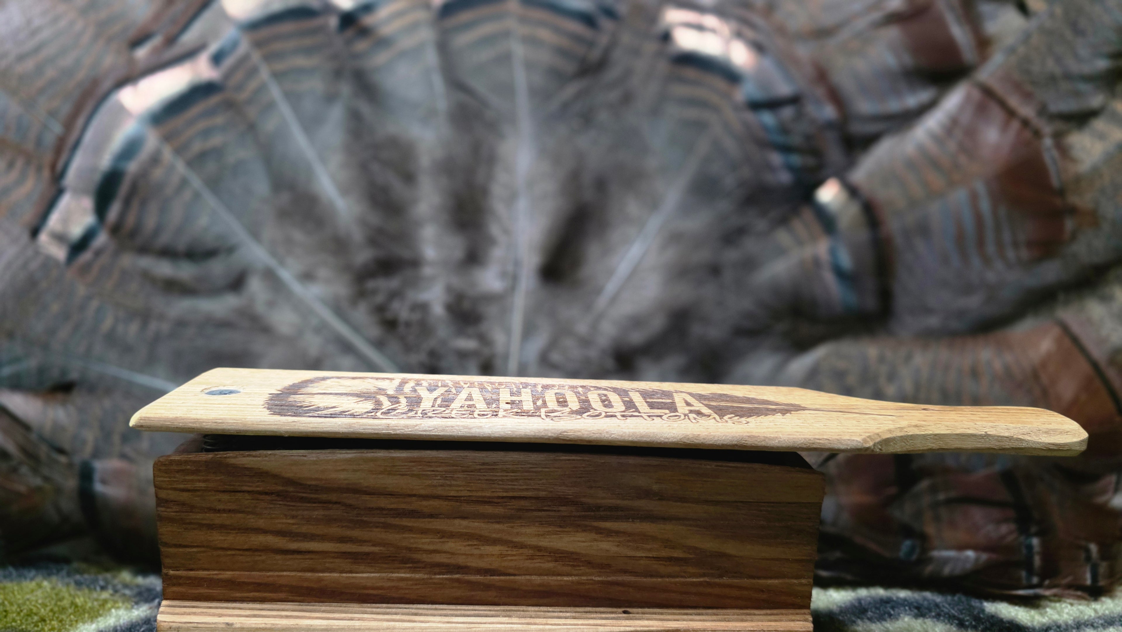 6" Wormy Chestnut Box Call